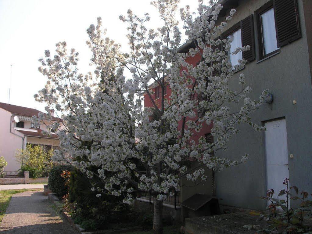 Apartment Cherry Rovinj Zewnętrze zdjęcie